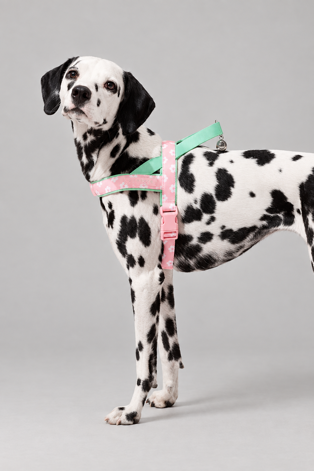 Floral dog harness and lead set – view 4