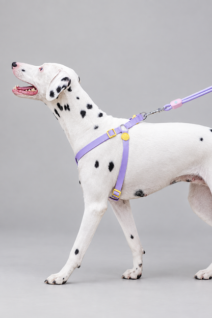 Rope dog collar and lead set – view 2