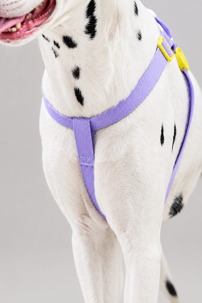 Rope dog collar and lead set – view 3
