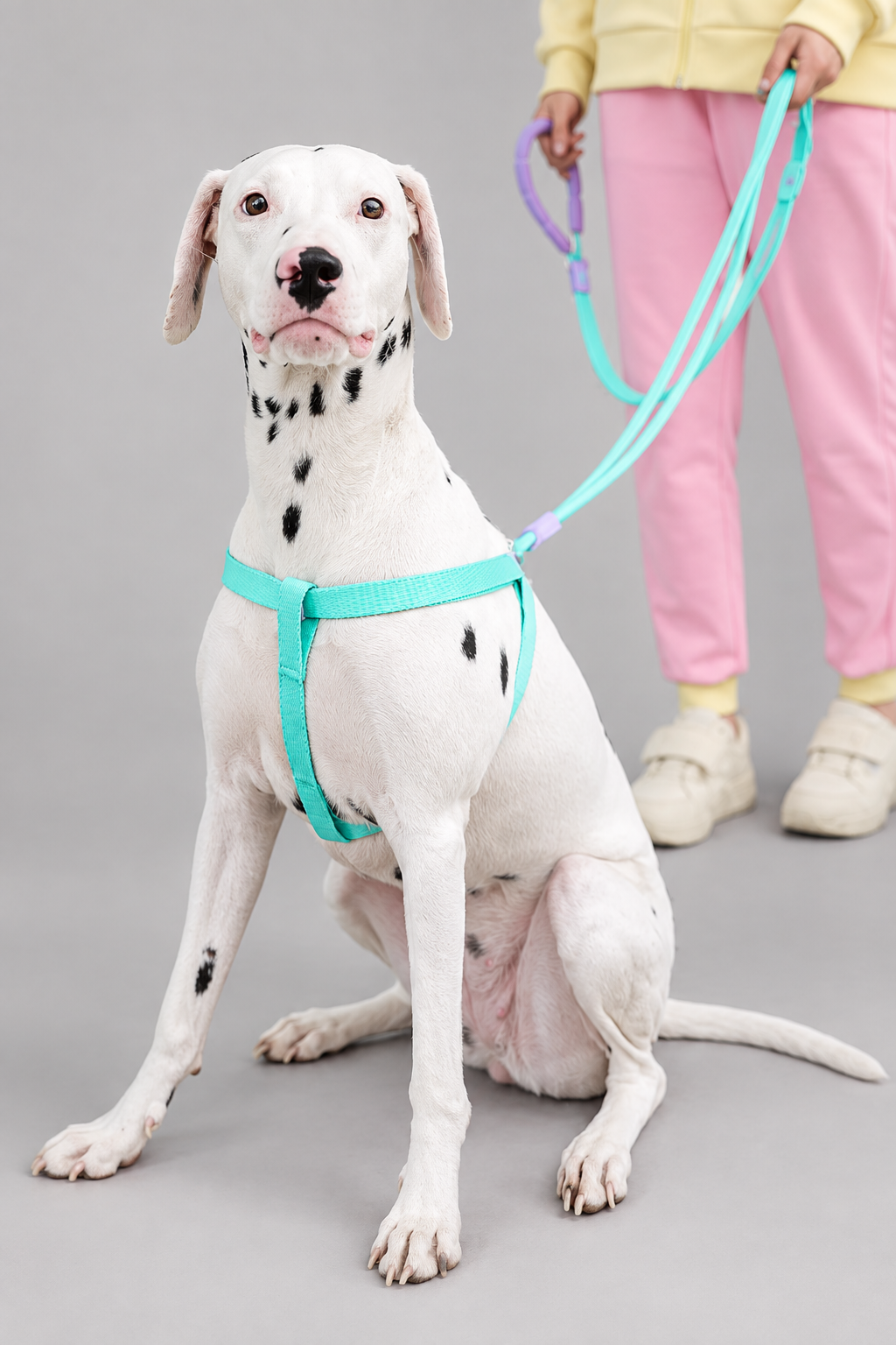 Rope dog collar and lead set – view 4