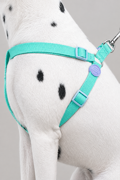 Rope dog collar and lead set – view 5