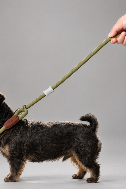 Wide nylon slip lead – view 3