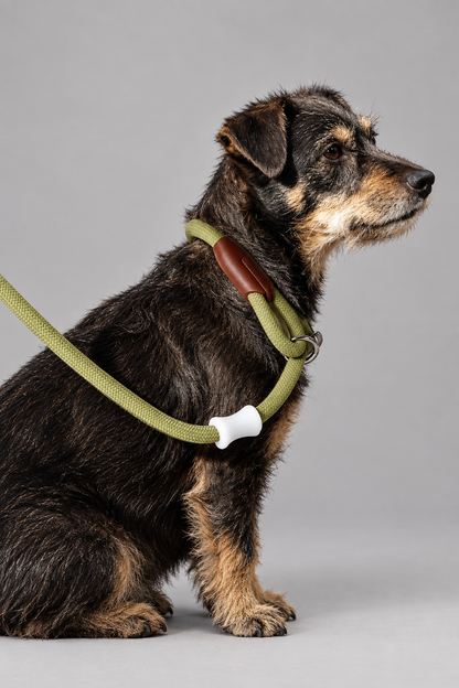 Wide nylon slip lead – Soft Slip Lead in 1.2m, 1.5m or 1.8m