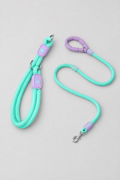Nylon slip collar set – view 14