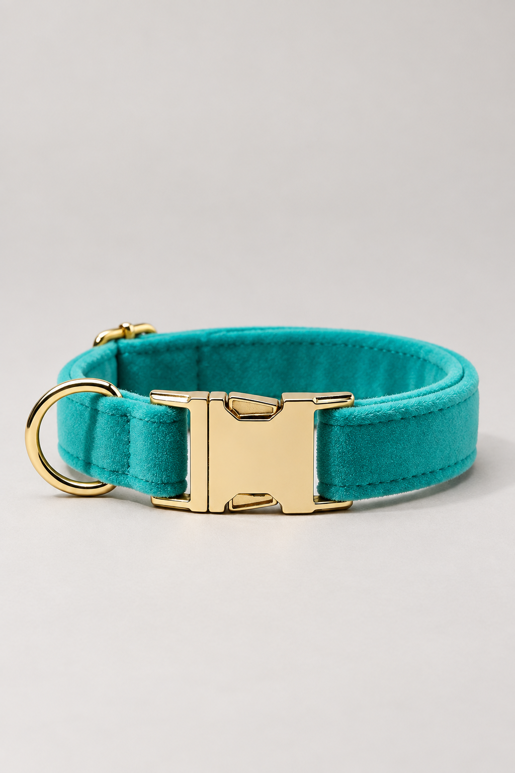 Velvet dog collar with gold buckle in Turquoise