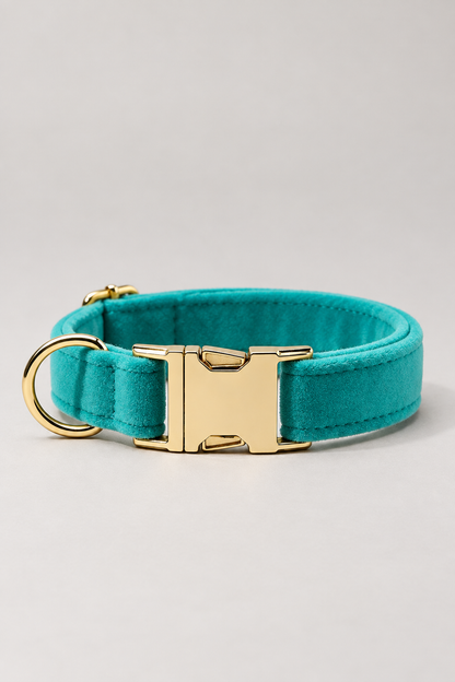 Velvet dog collar with gold buckle in Turquoise