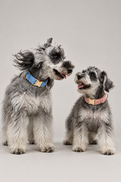 Teddy fleece dog collar – view 4