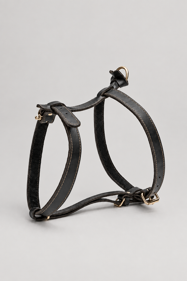 Leather Vest Dog Harness