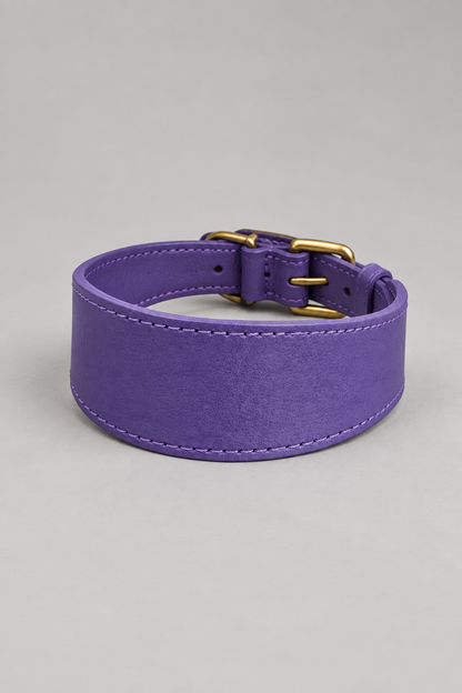 Leather sighthound collar in Violet