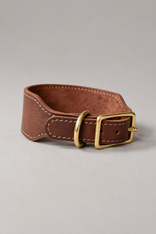Leather sighthound collar – Whippet, Greyhound & Lurcher Collar with Brass Fittings