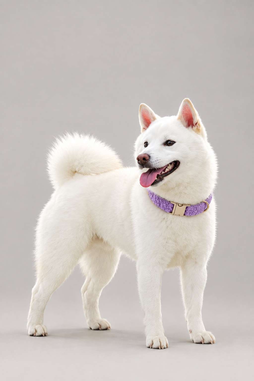 Teddy fleece dog collar – view 3