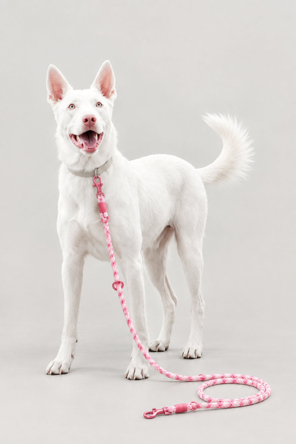 Braided rope dog lead – view 8