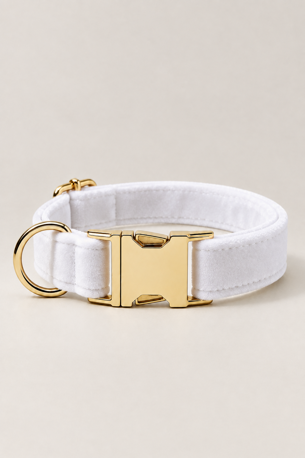 Velvet dog collar with gold buckle in White