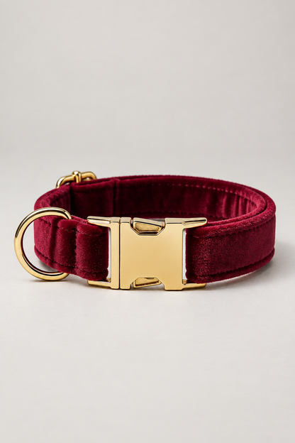 Velvet dog collar with gold buckle in Wine Red