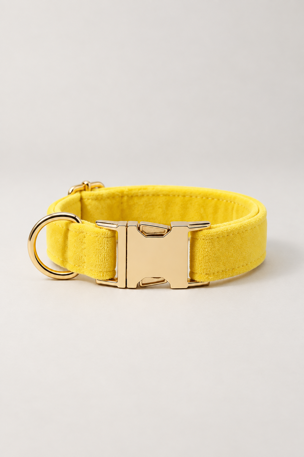 Velvet dog collar with gold buckle in Yellow