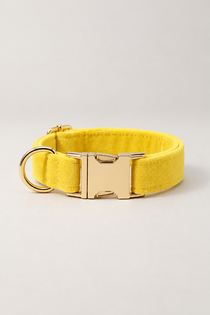 Velvet dog collar with gold buckle in Yellow